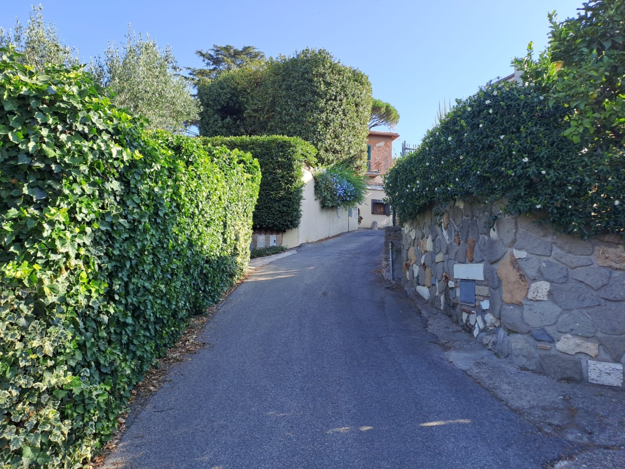 immagine annuncio 2 di 11