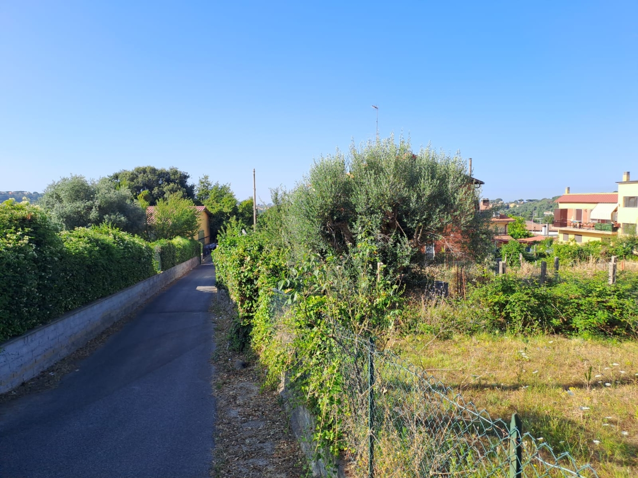 immagine annuncio 8 di 11