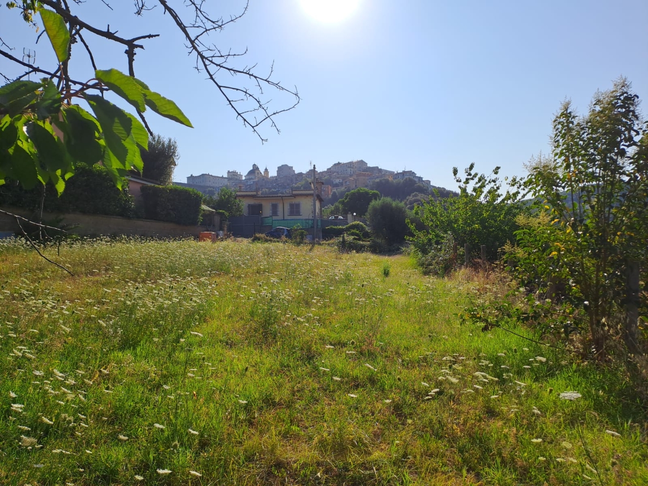 immagine annuncio 5 di 11