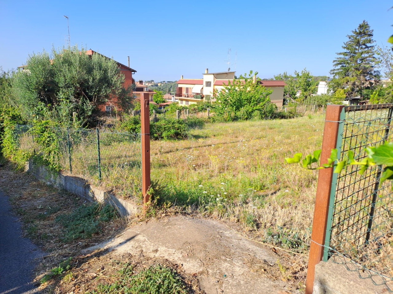 immagine annuncio 7 di 11