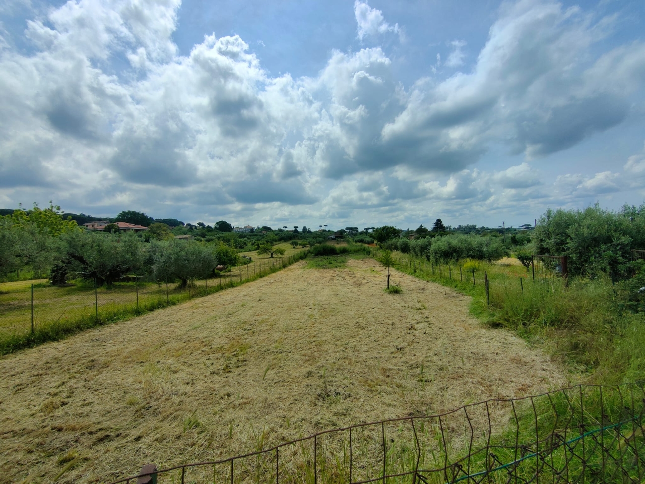 immagine annuncio 2 di 4