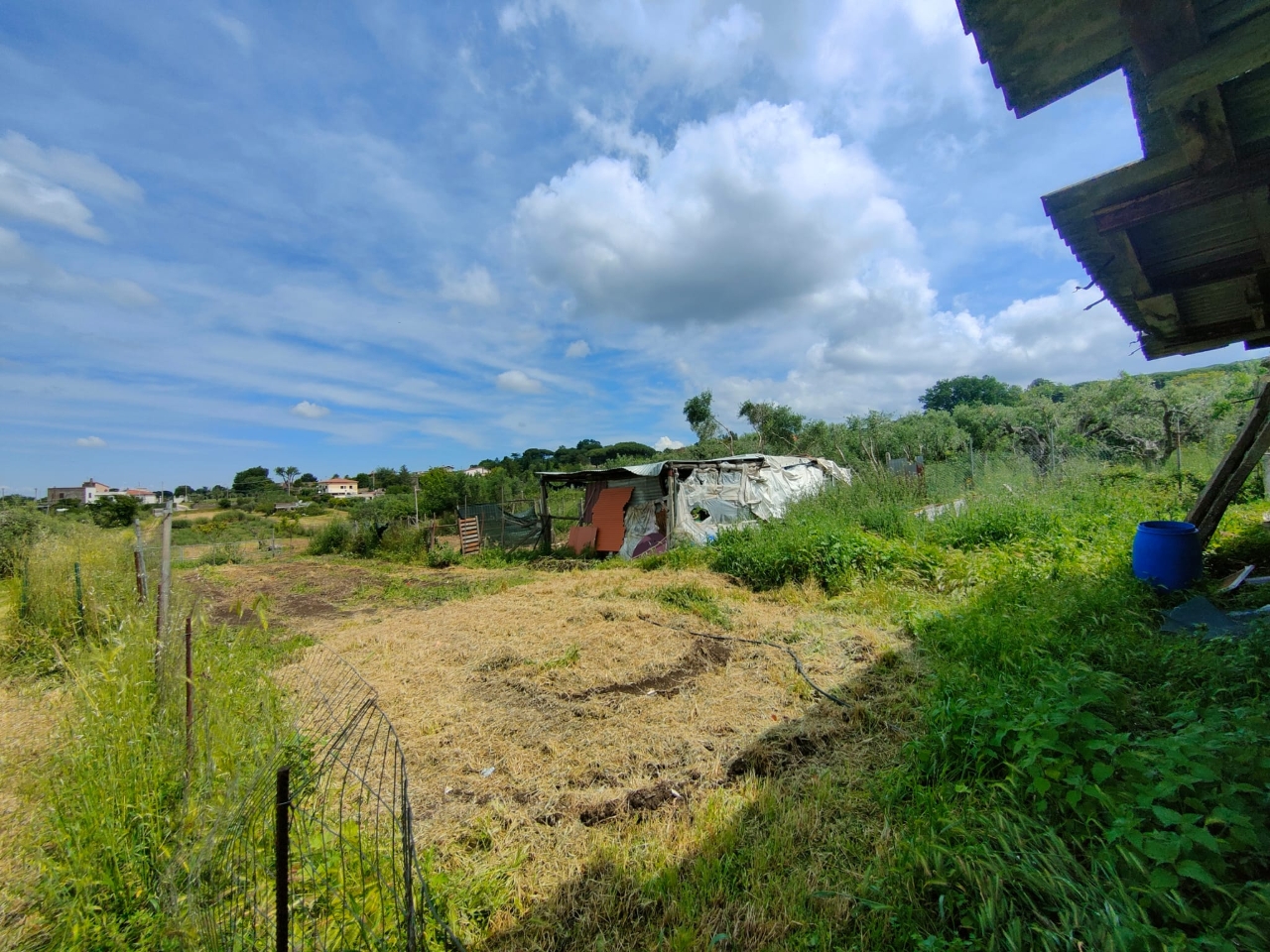 immagine annuncio 3 di 4