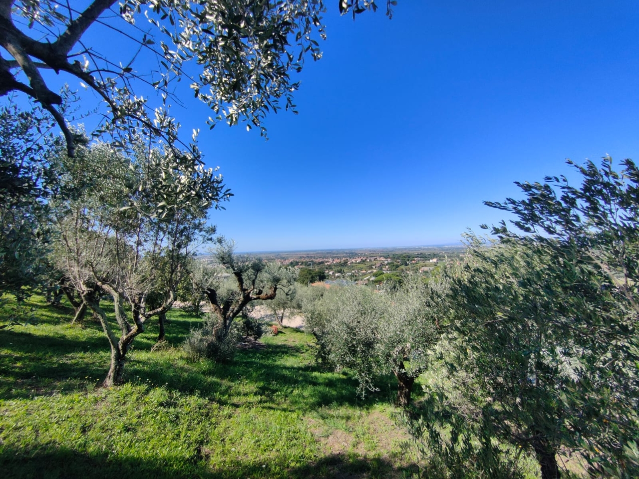 immagine annuncio 8 di 15