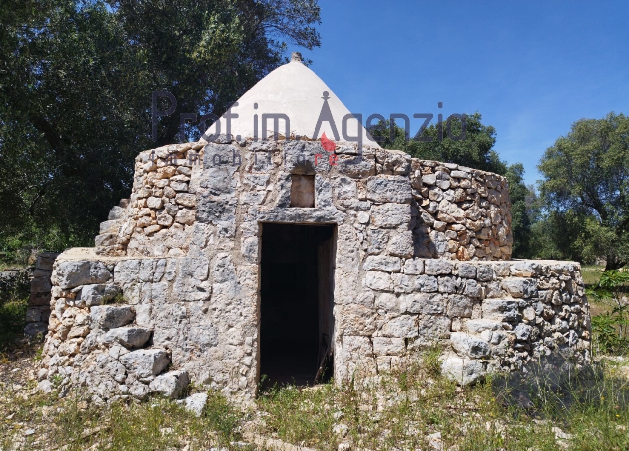 Trullo, Carovigno - Planimetria 1