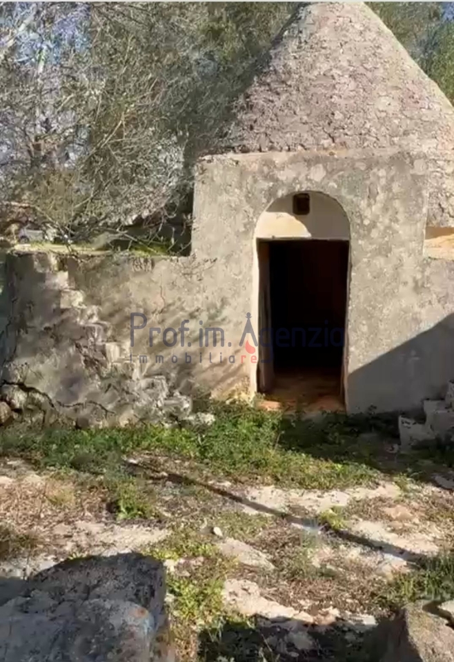 immagine annuncio 12 di 13