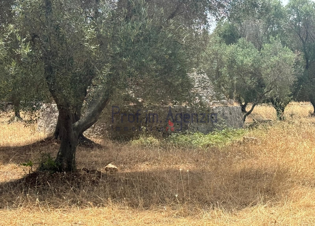 immagine annuncio 11 di 13