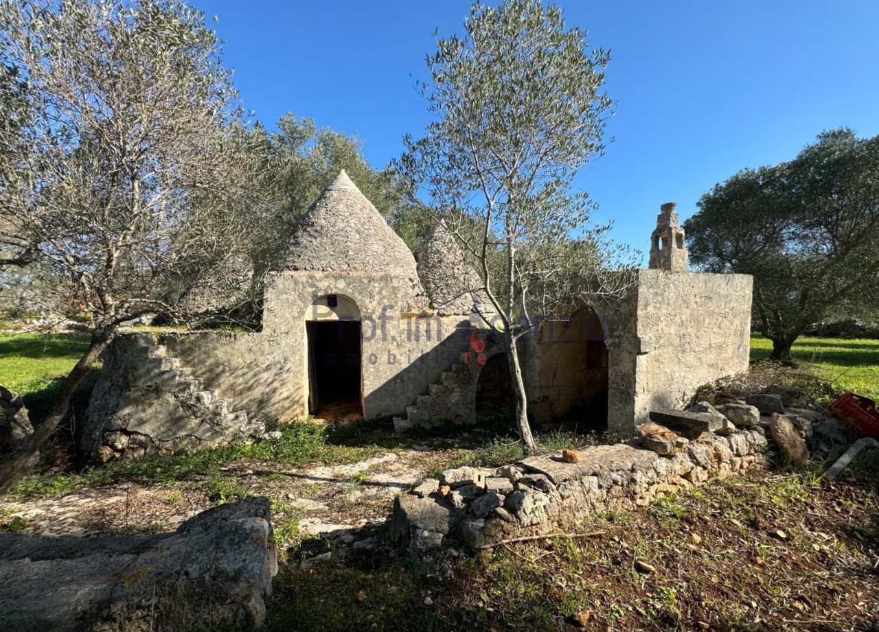 immagine annuncio 3 di 13