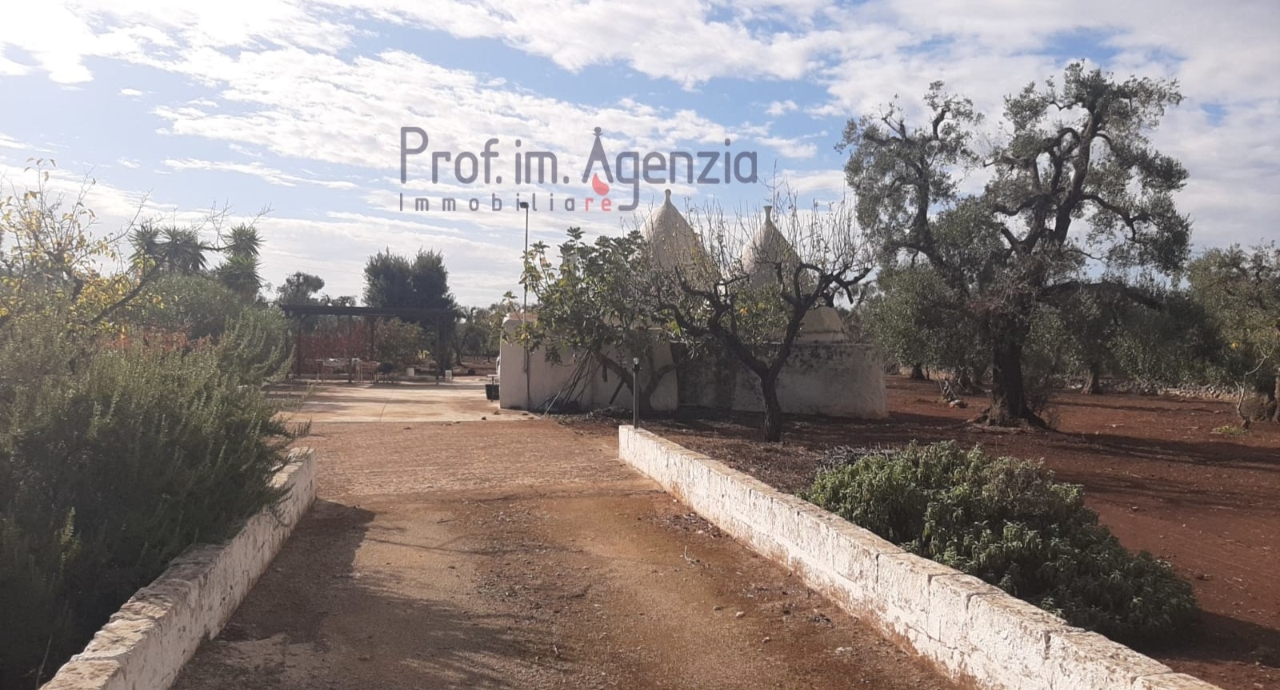immagine annuncio 10 di 14