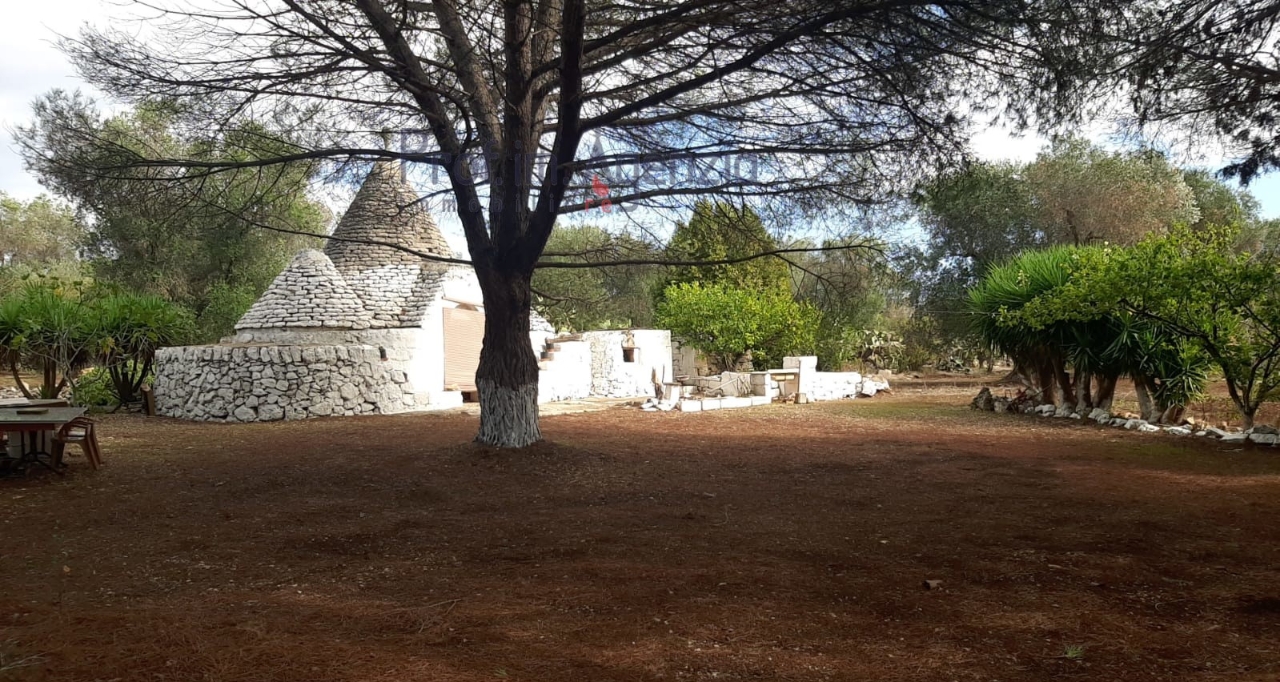 immagine annuncio 5 di 14