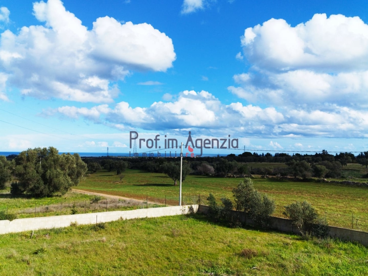 immagine annuncio 11 di 13
