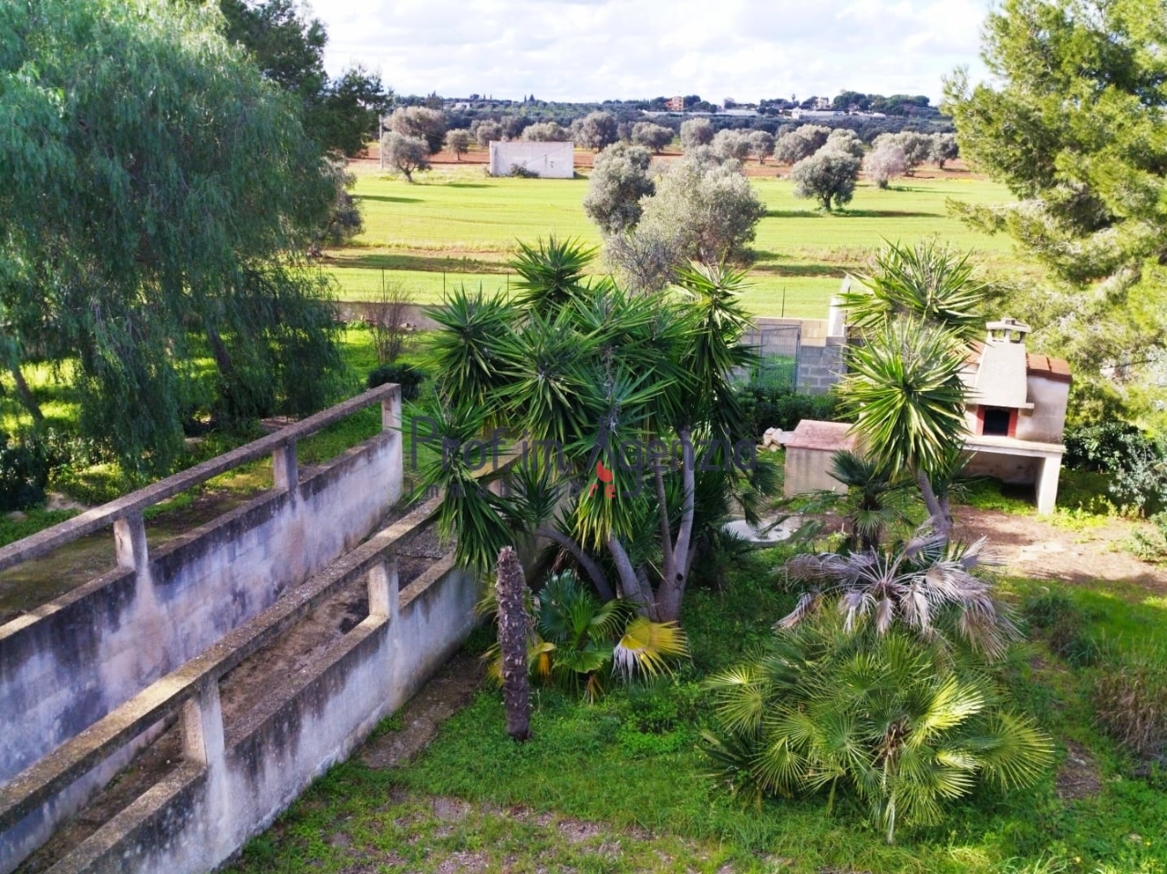 immagine annuncio 6 di 13
