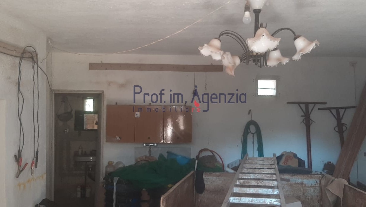 immagine annuncio 6 di 14