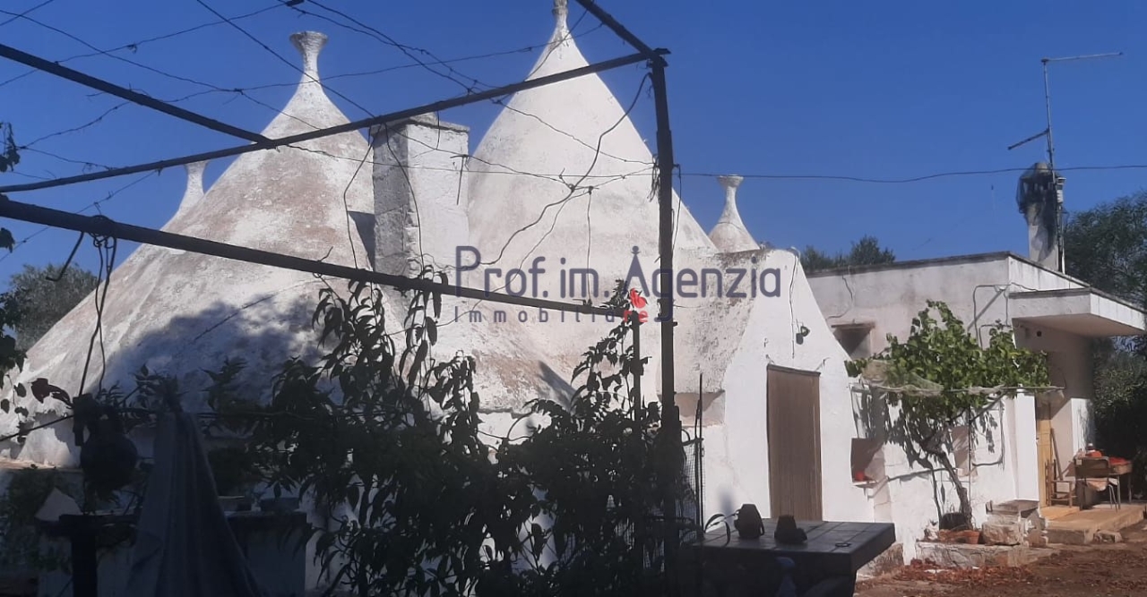immagine annuncio 3 di 14