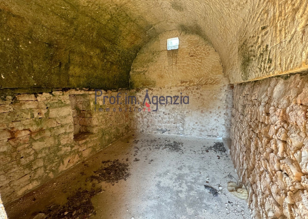 immagine annuncio 7 di 13