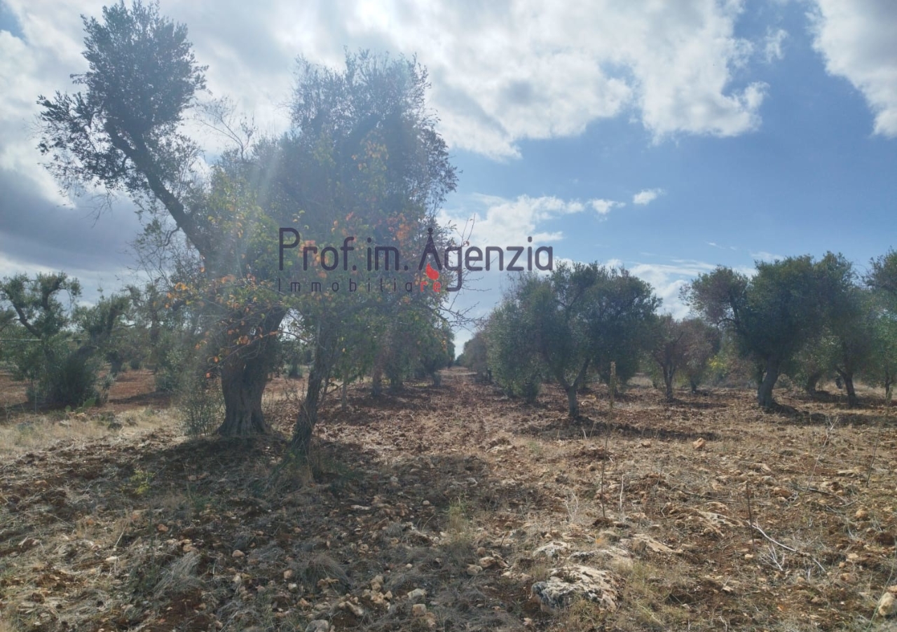 immagine annuncio 5 di 9