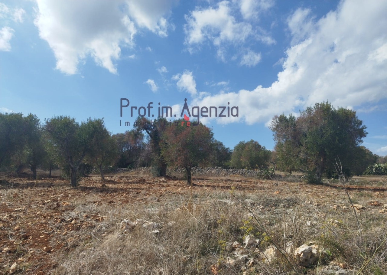 immagine annuncio 6 di 9