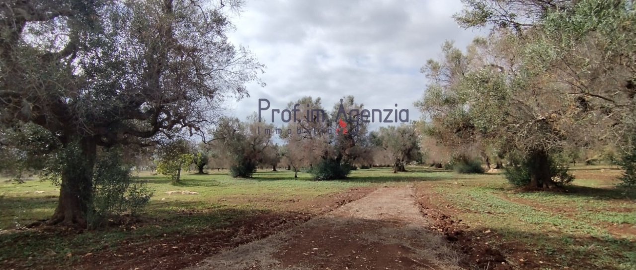 immagine annuncio 7 di 9