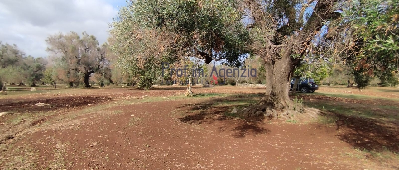 immagine annuncio 6 di 9