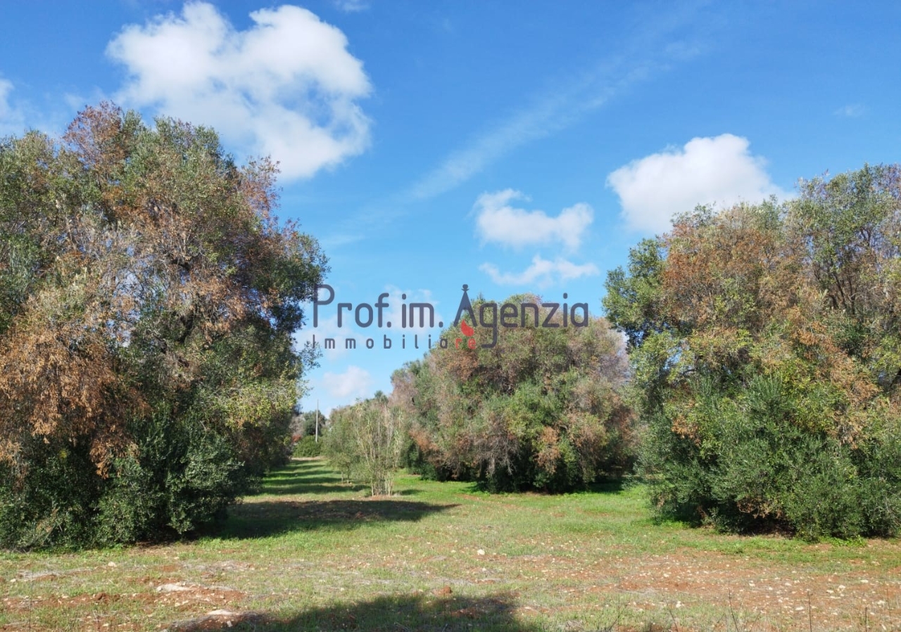 immagine annuncio 6 di 9