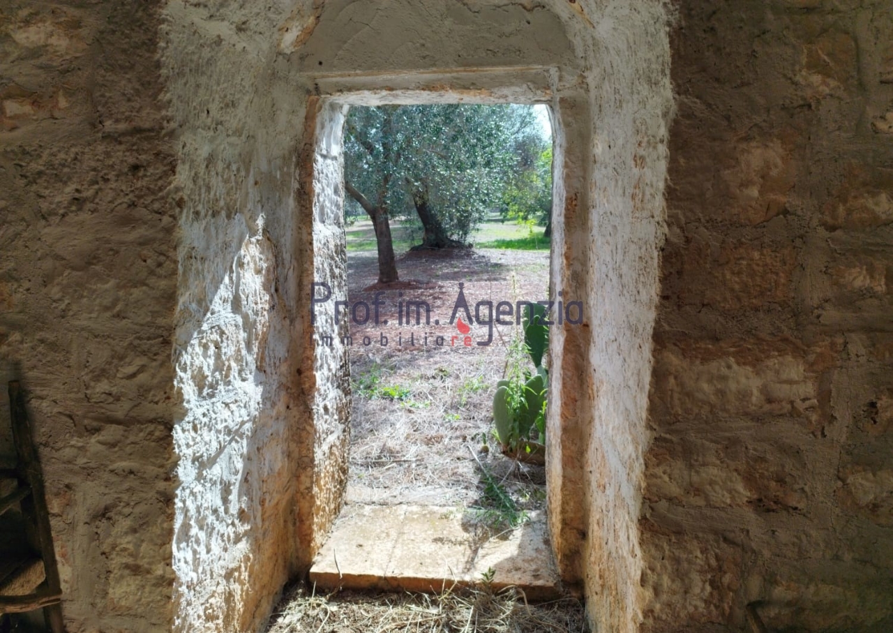 immagine annuncio 3 di 12