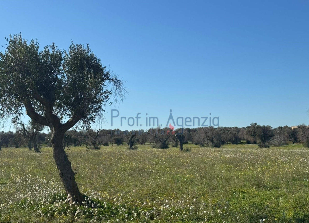 immagine annuncio 1 di 8