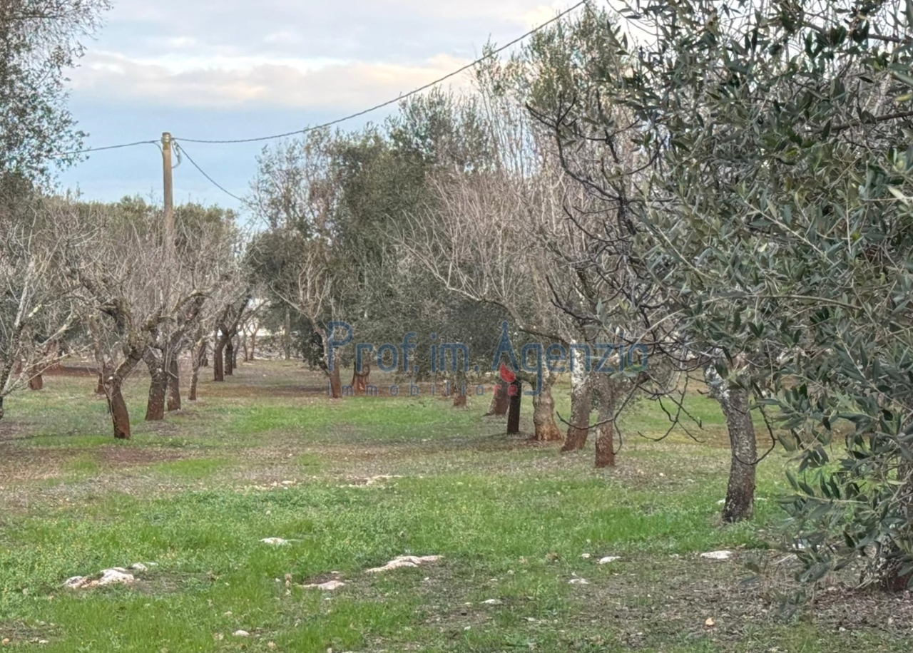 immagine annuncio 3 di 4
