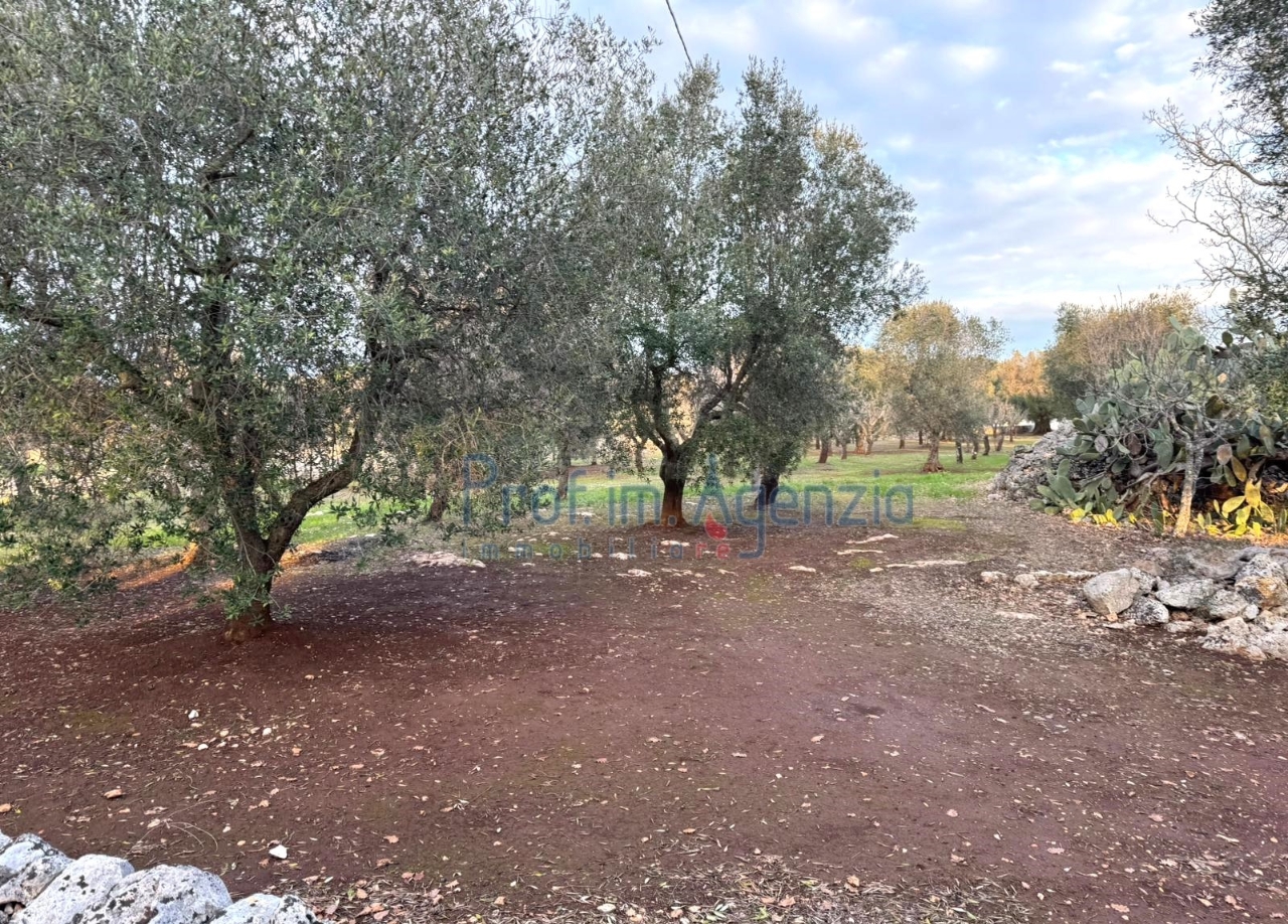 immagine annuncio 2 di 4