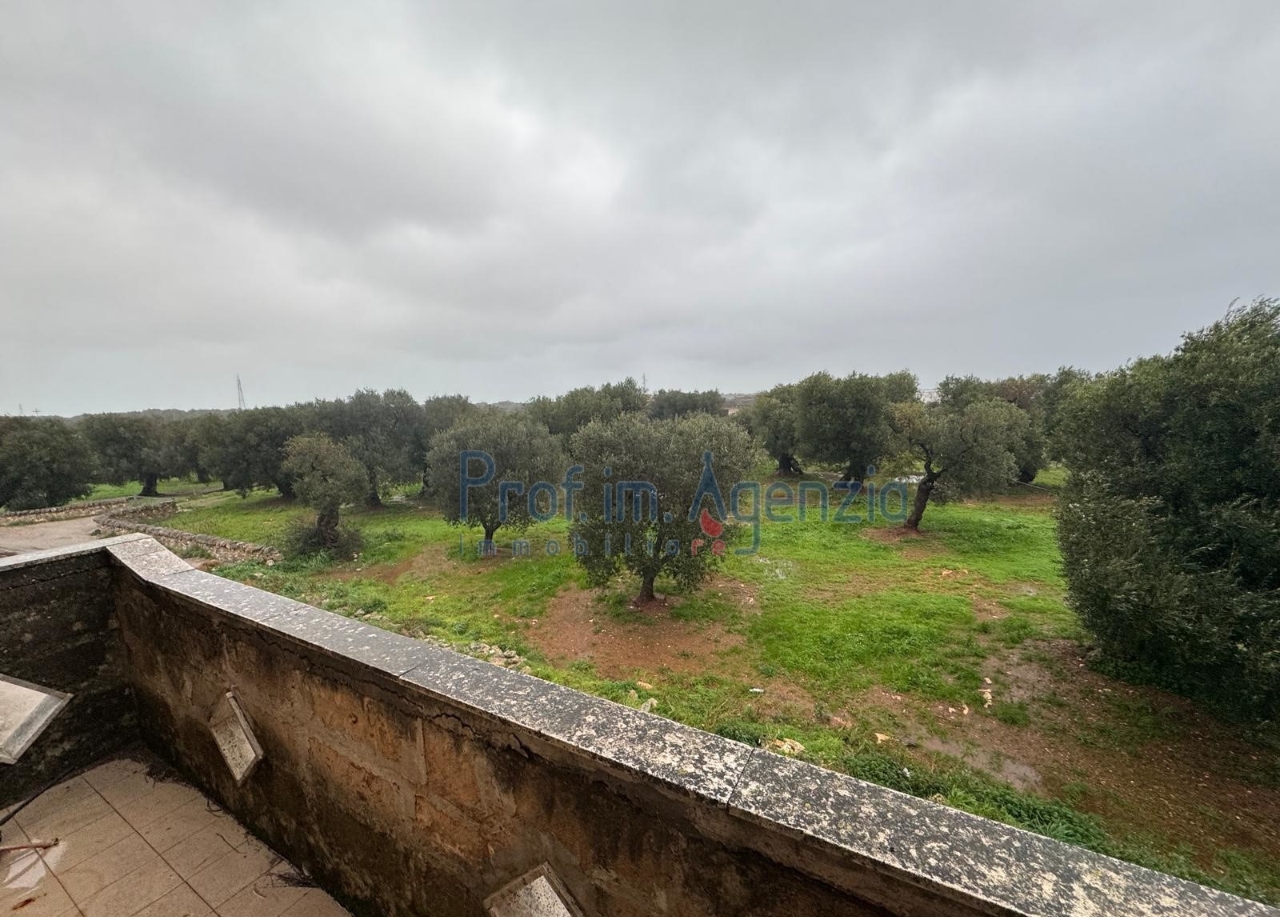 immagine annuncio 4 di 7