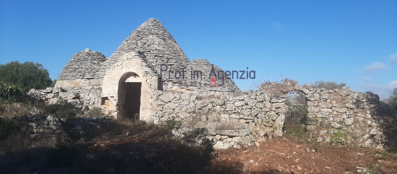 immagine annuncio 11 di 13