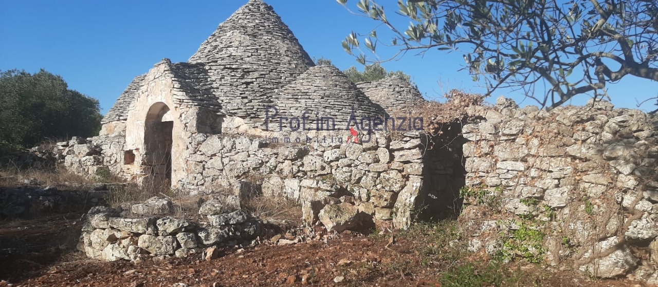 immagine annuncio 9 di 13