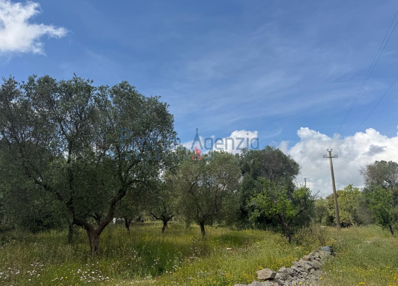 immagine annuncio 6 di 9