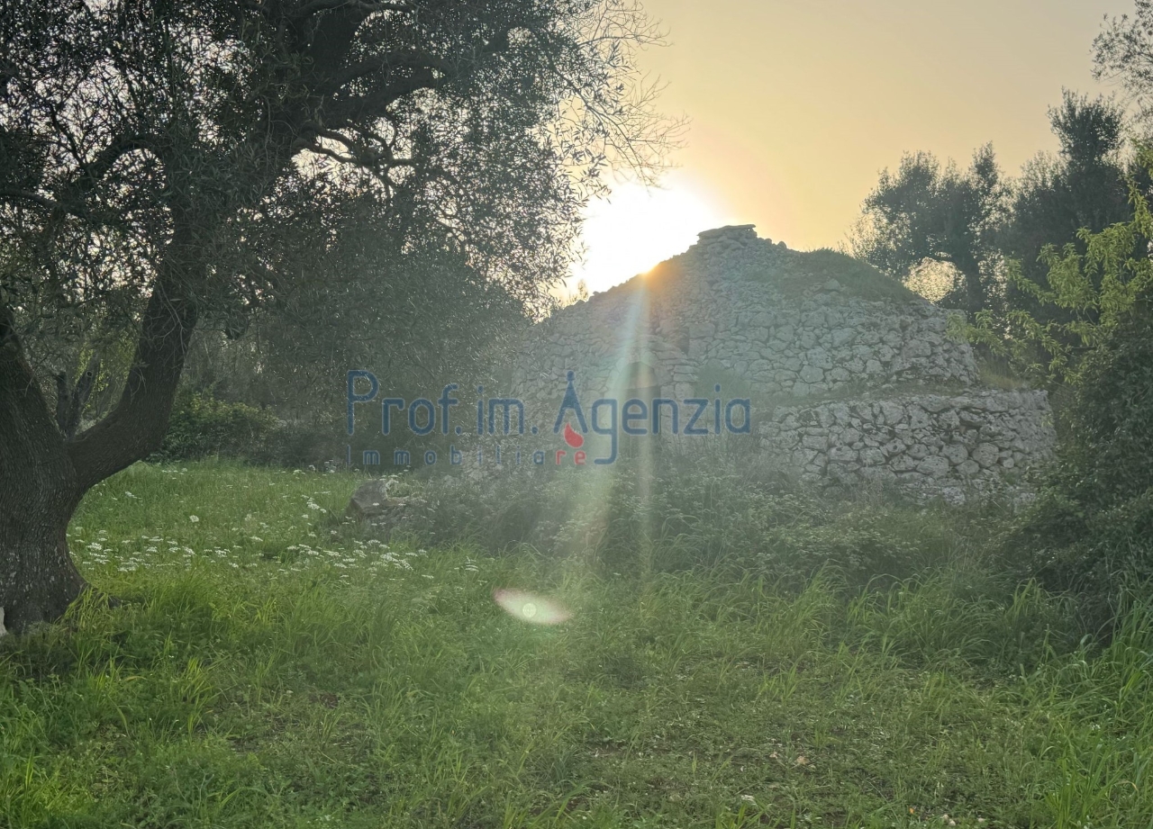 immagine annuncio 8 di 12