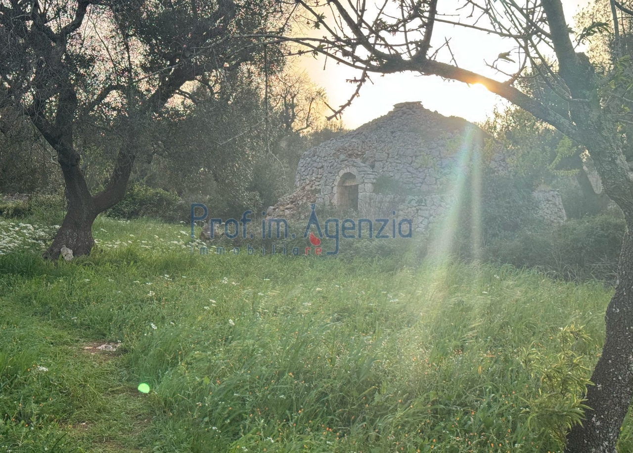 immagine annuncio 6 di 12