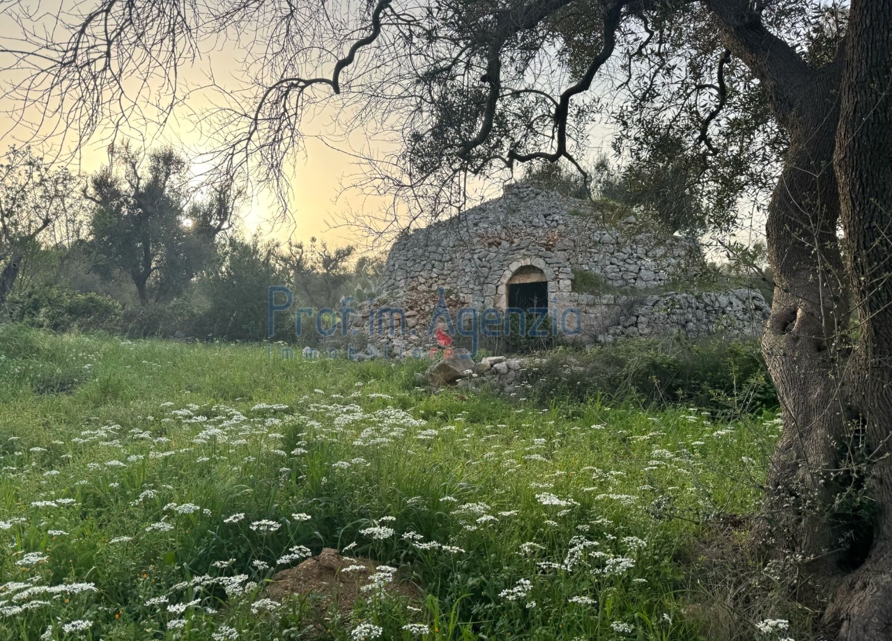 immagine annuncio 9 di 12