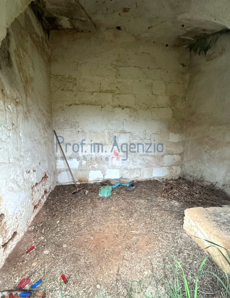 immagine annuncio 2 di 14
