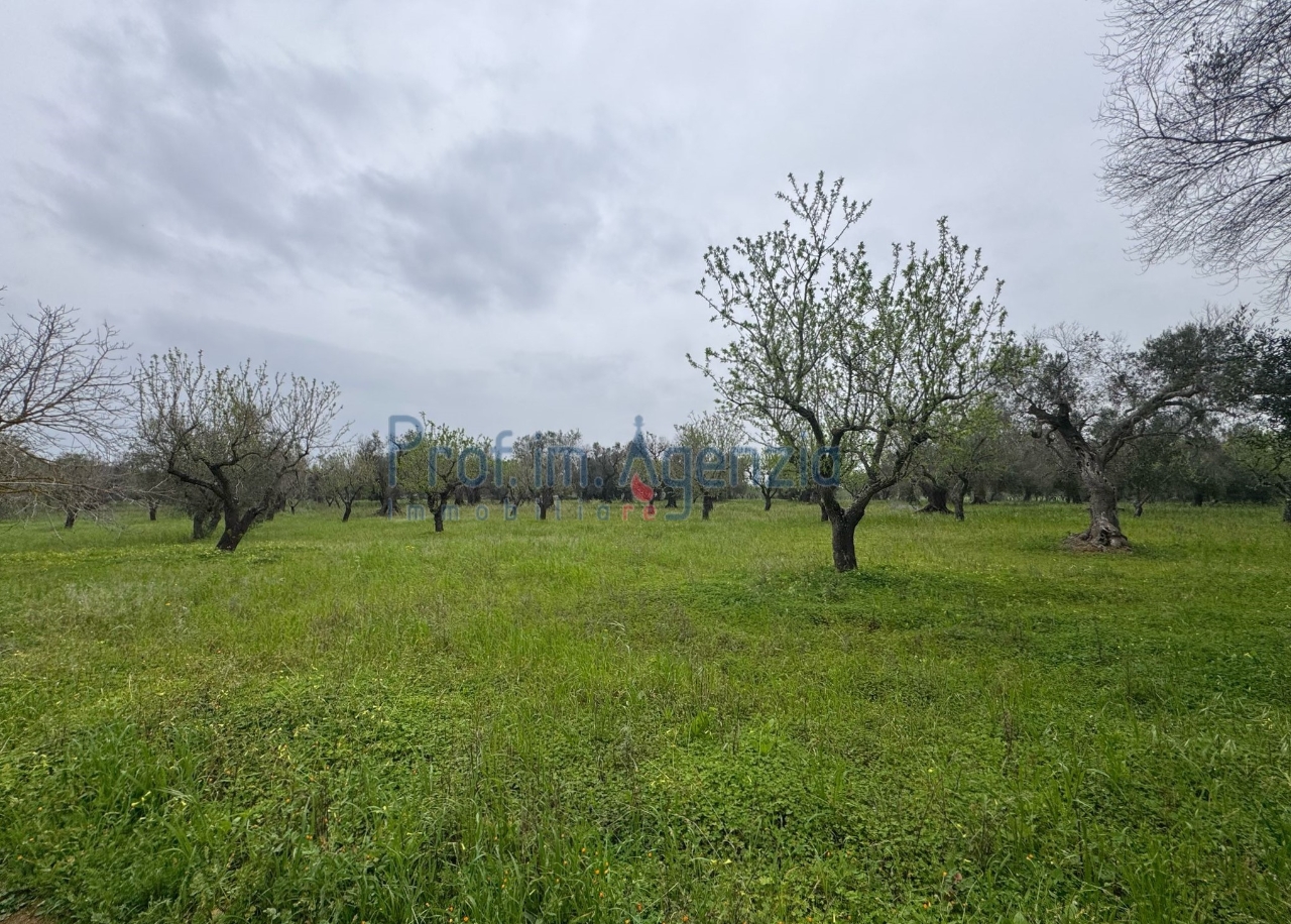 immagine annuncio 8 di 14