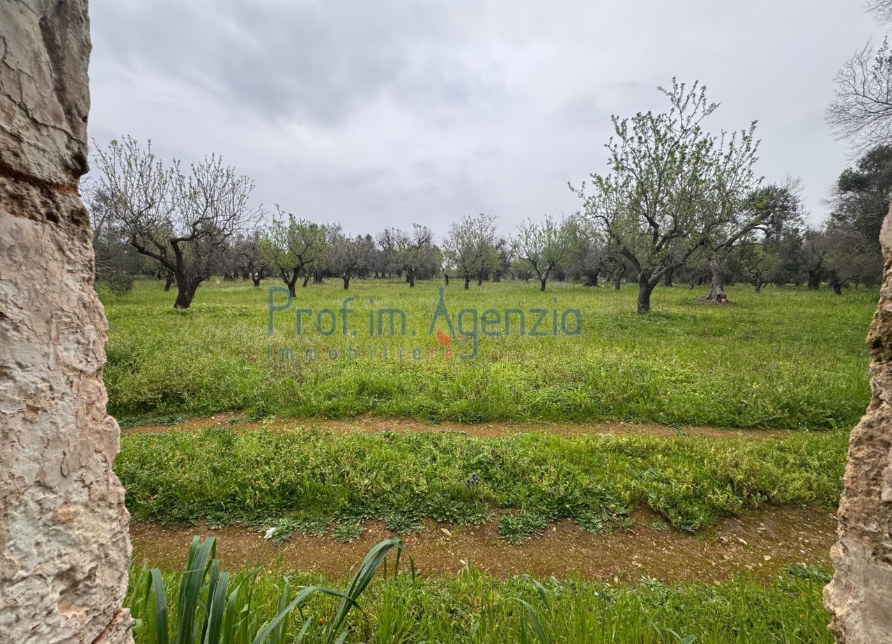 immagine annuncio 6 di 14