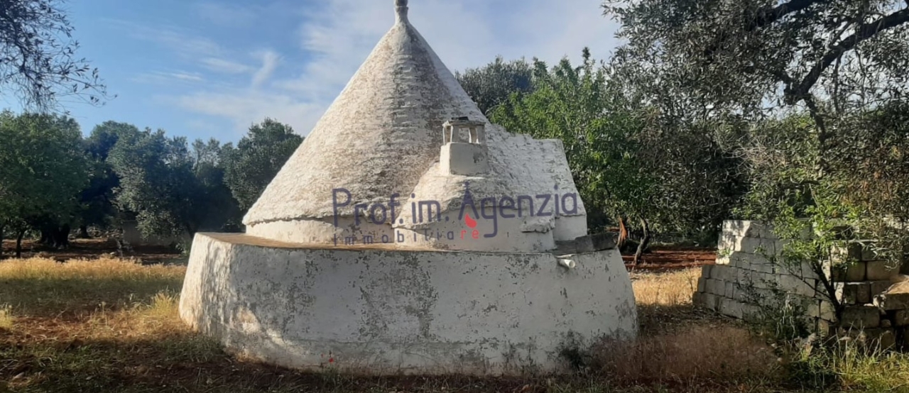 immagine annuncio 8 di 14
