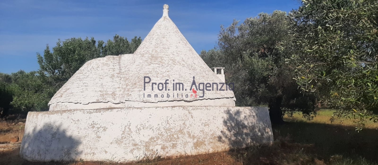 immagine annuncio 4 di 14