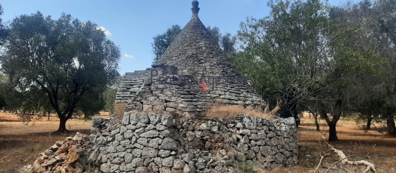 immagine annuncio 3 di 10