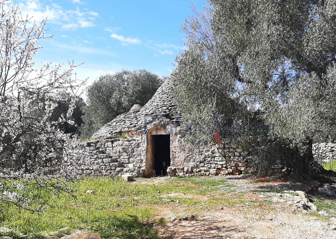 immagine annuncio 3 di 13