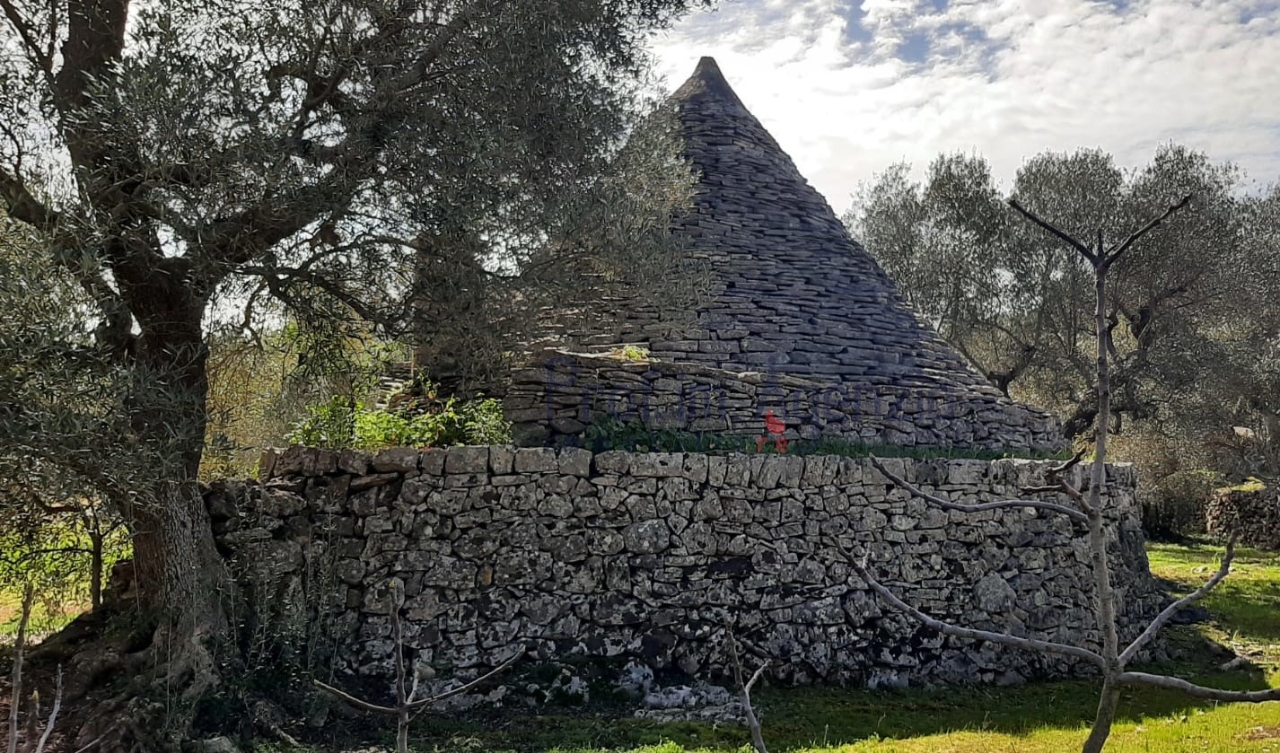 immagine annuncio 5 di 13