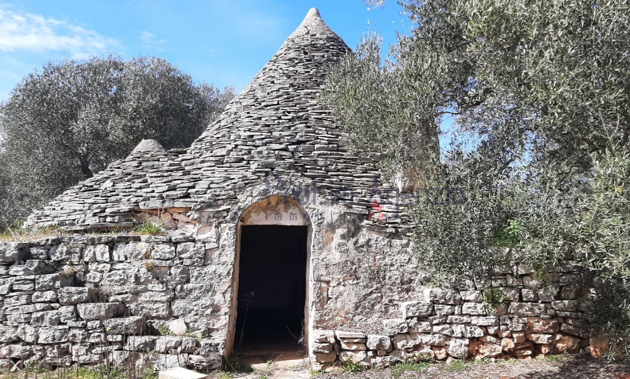 immagine annuncio 1 di 13