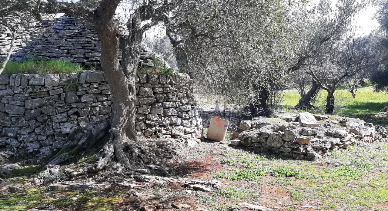 immagine annuncio 6 di 13