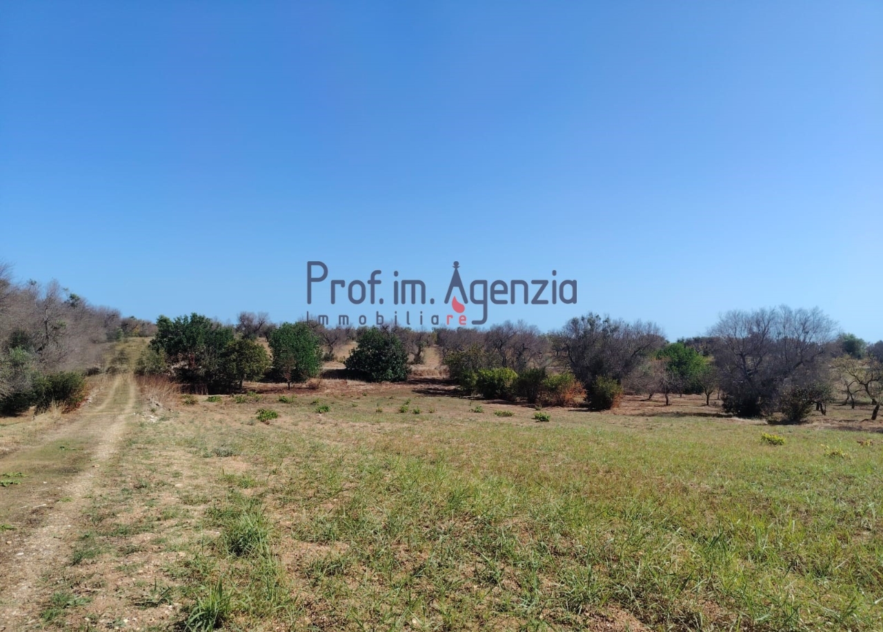 immagine annuncio 7 di 11