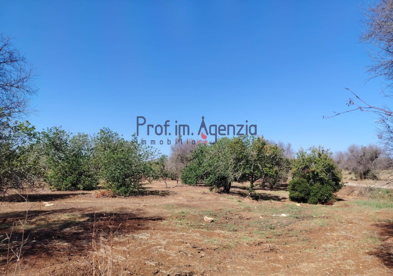 immagine annuncio 8 di 11