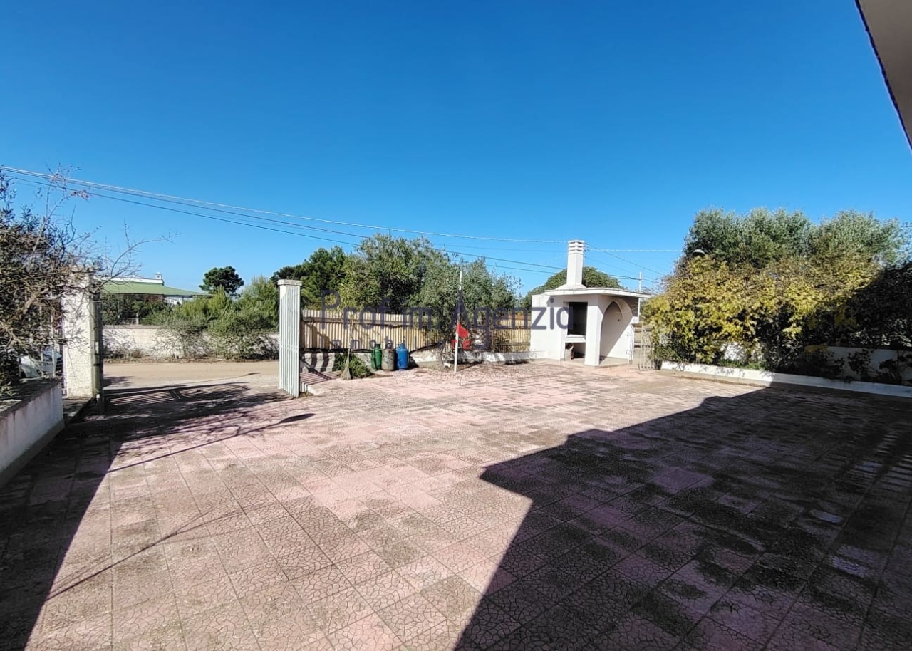 immagine annuncio 12 di 14