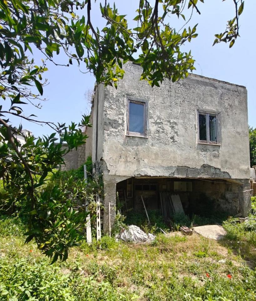 immagine annuncio 1 di 14