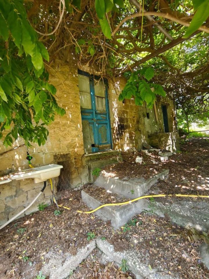 immagine annuncio 4 di 14