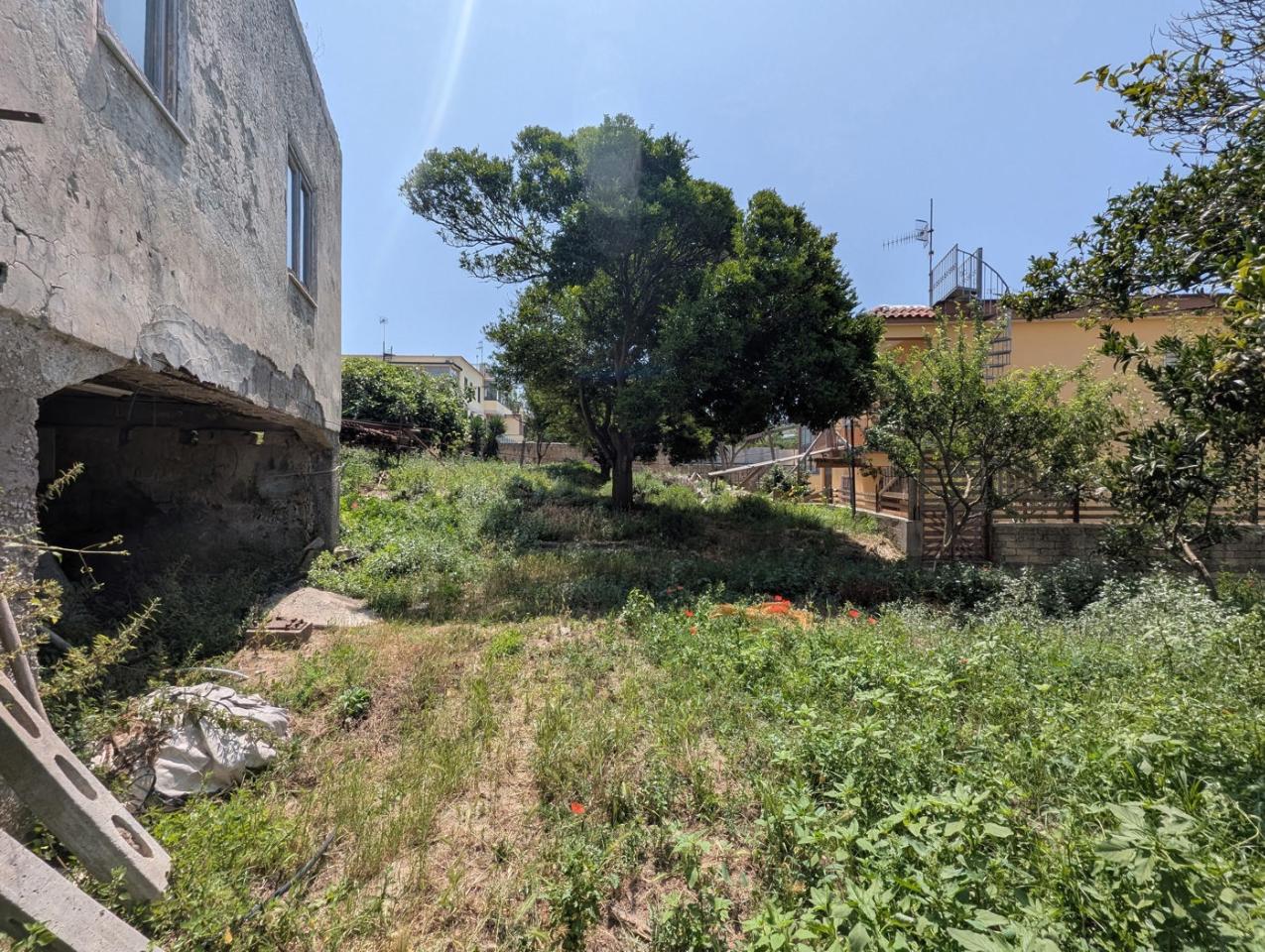 immagine annuncio 5 di 14